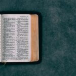 The Doctrine of Original Sin
